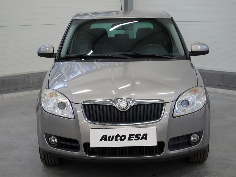 Škoda Fabia II 1.2 12V 