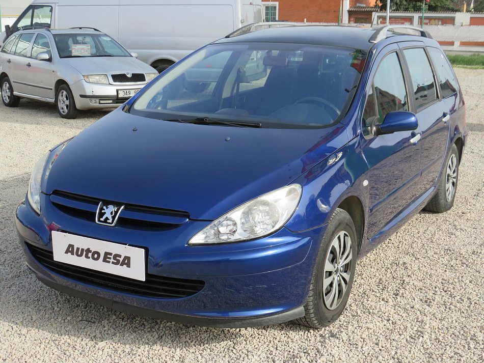 Peugeot 307 1.6 i 