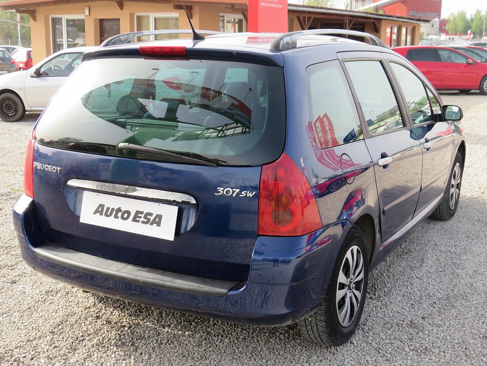 Peugeot 307 1.6 i 